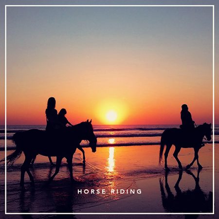 the-riad-tarifa-horse